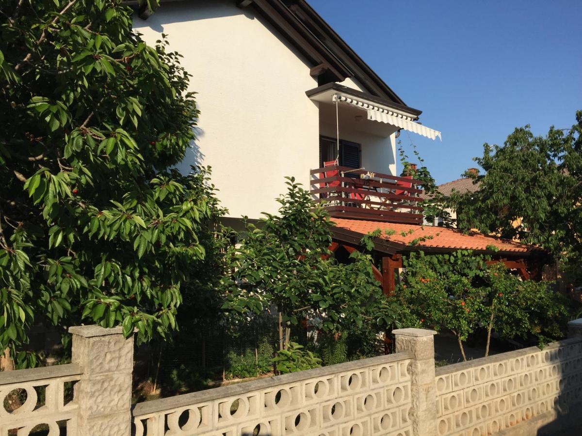 Iva Apartments Novigrad Istria Esterno foto