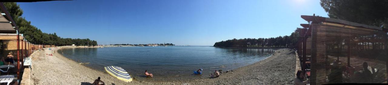 Iva Apartments Novigrad Istria Esterno foto