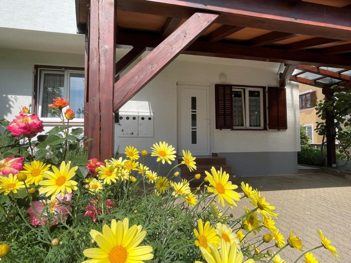 Iva Apartments Novigrad Istria Esterno foto